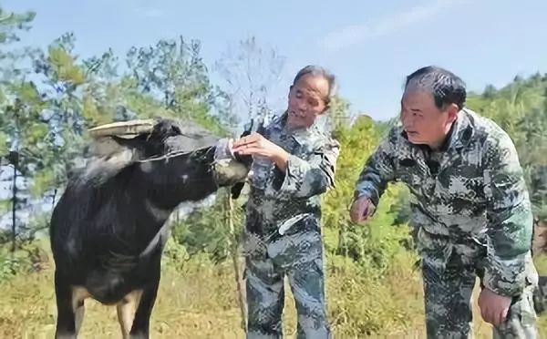 养鹦鹉致富视频_鹦鹉养殖致富事例_致富经鹦鹉养殖视频