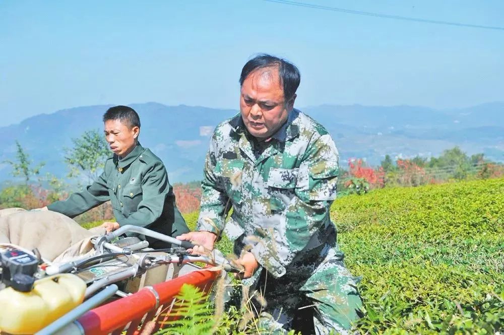 养鹦鹉致富视频_致富经鹦鹉养殖视频_鹦鹉养殖致富事例