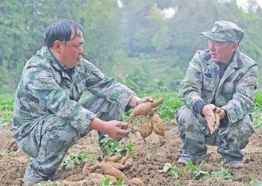 养鹦鹉致富视频_致富经鹦鹉养殖视频_鹦鹉养殖致富事例