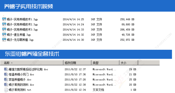 蝎子养殖技术及如何人工养蝎子