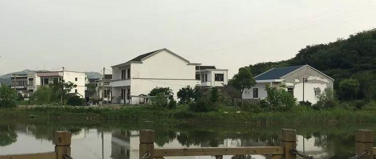 农民致富养殖业_现代渔业养殖致富_渔业致富指南2020年2期