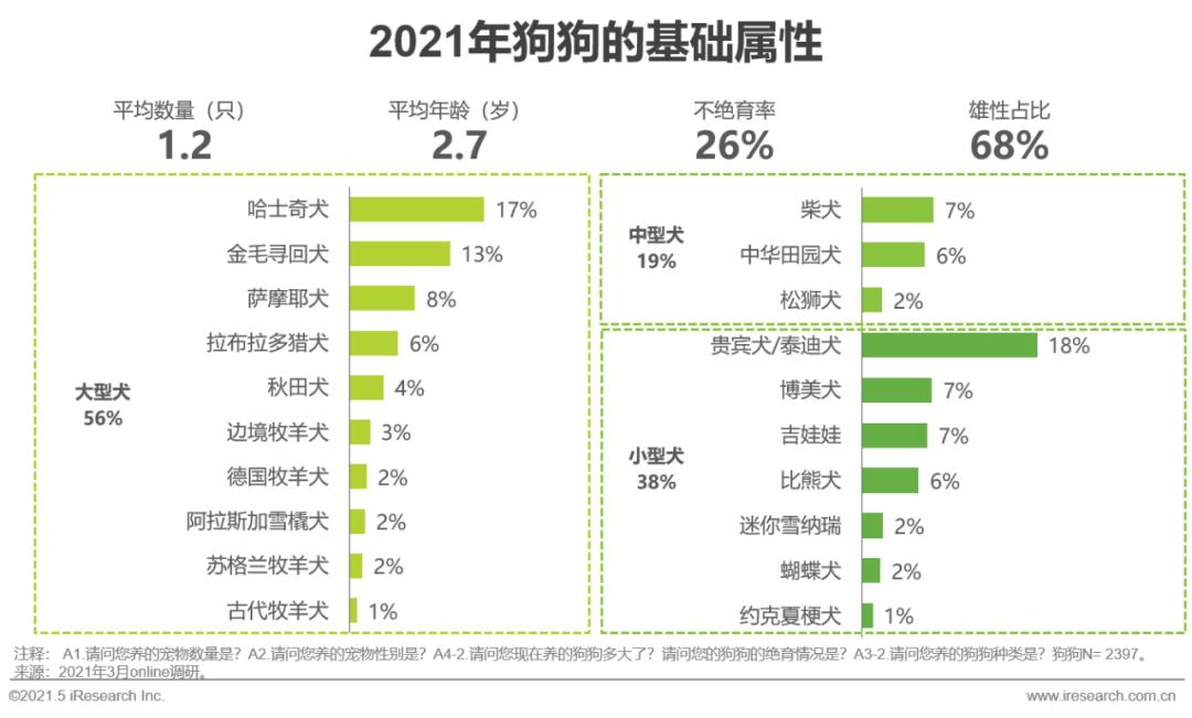 山东宠物养殖致富_山东宠物养殖基地_山东养狗养殖场