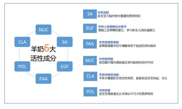 山羊养殖技术要点_山羊养殖技术吧_圈养山羊养殖技术