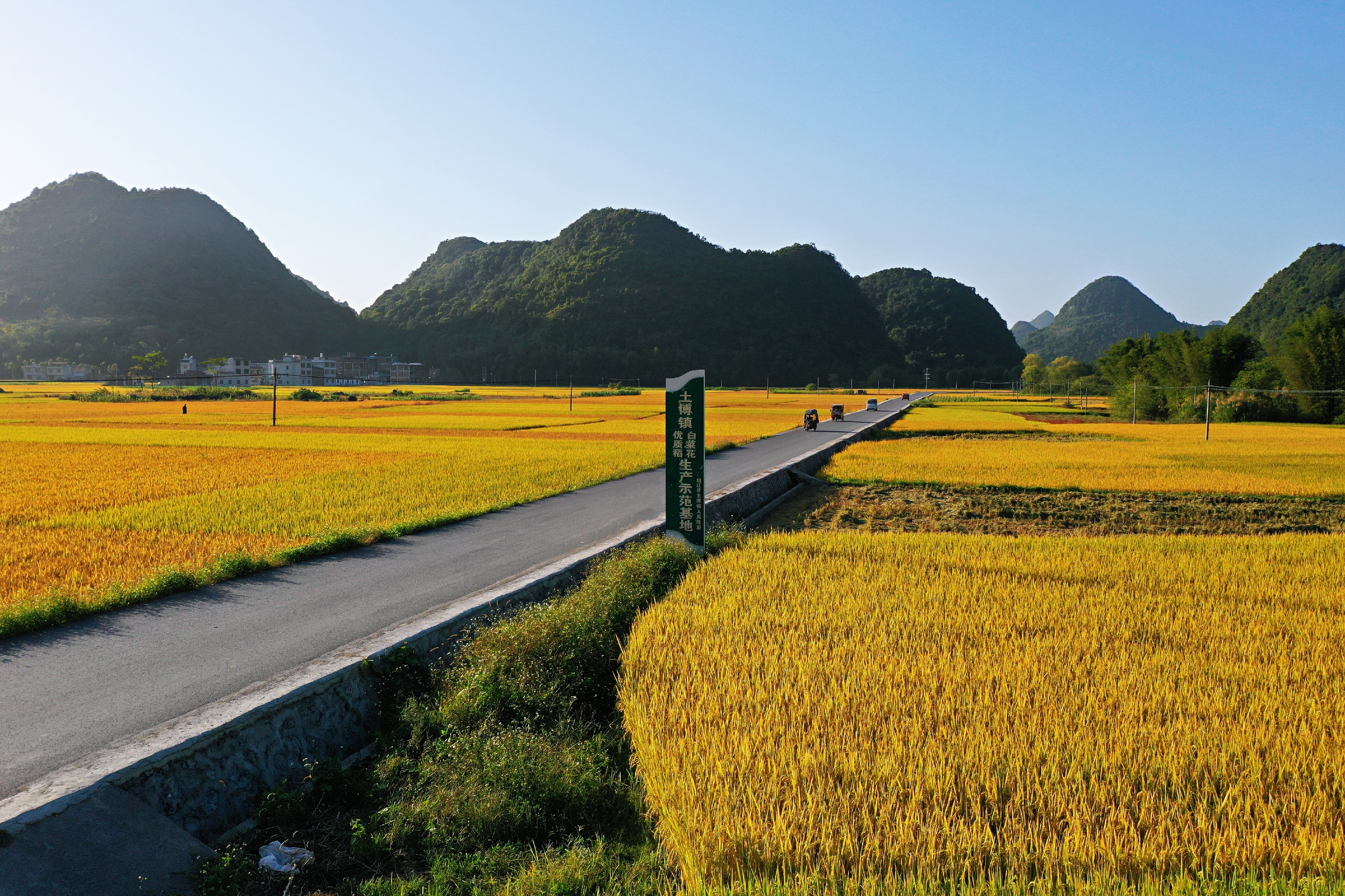 致富养殖土鸭图片_土鸭养殖致富_致富养殖土鸭视频