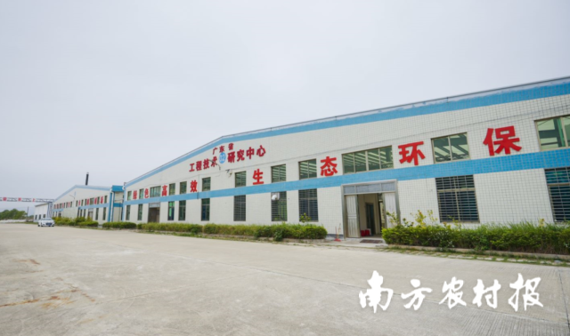 瓶颈兰盆景如何养_瓶颈兰花的养殖技术_瓶颈兰花养殖技术要点