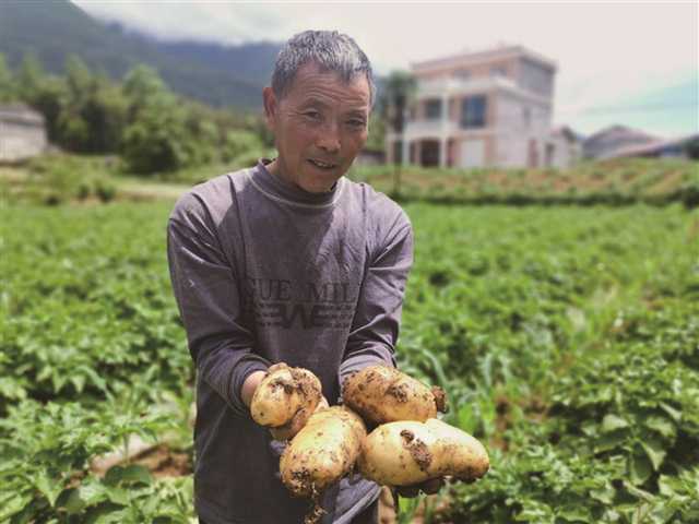 致富养殖土鸭图片_土鸭养殖致富_致富养殖土鸭怎么样