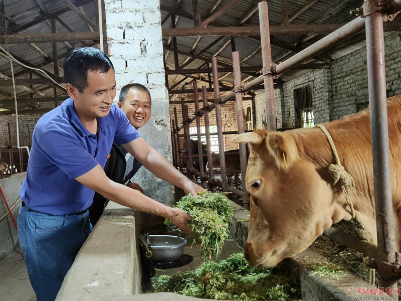 群众不脱贫 我就不撤离！——桂林市人力资源和社会保障局驻恭城瑶族自治县庄埠村党组织第一书记段宗元先进事迹