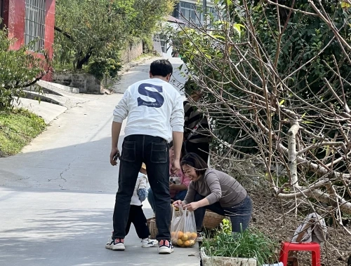 农村柑橘种植致富_种植柑橘的前景_致富柑橘种植农村视频