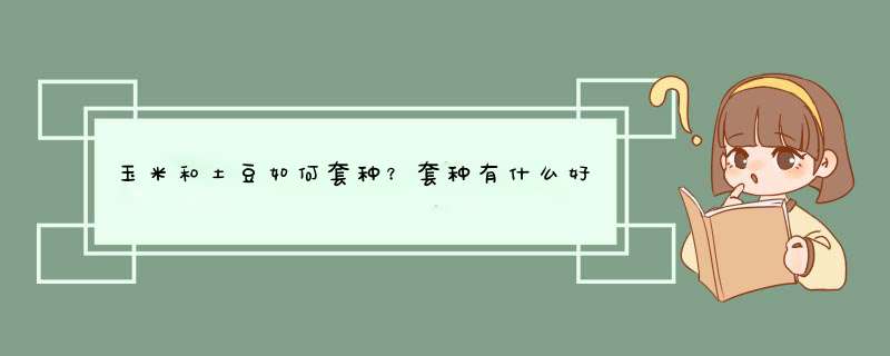 玉米和土豆如何套种？套种有什么好处呢？