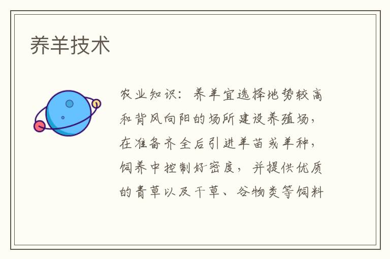 养羊技术
