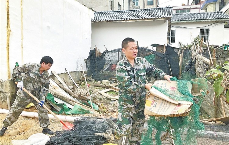 致富养殖土鸭怎么样_致富养殖土鸭图片_土鸭养殖致富