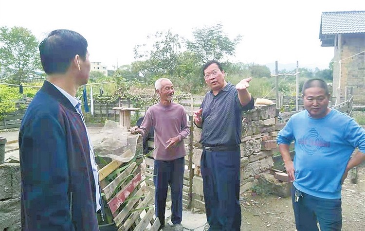 土鸭养殖致富_致富养殖土鸭图片_致富养殖土鸭怎么样