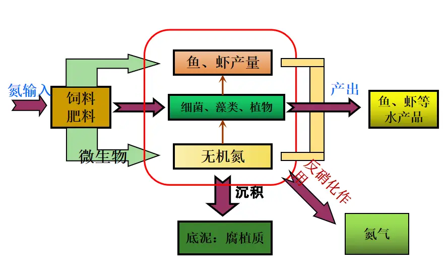 虾蟹养殖技术资料_养殖虾蟹技术赚钱不_虾蟹养殖主要采用什么方法