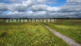 元宝鸽子养殖方法和注意事项？