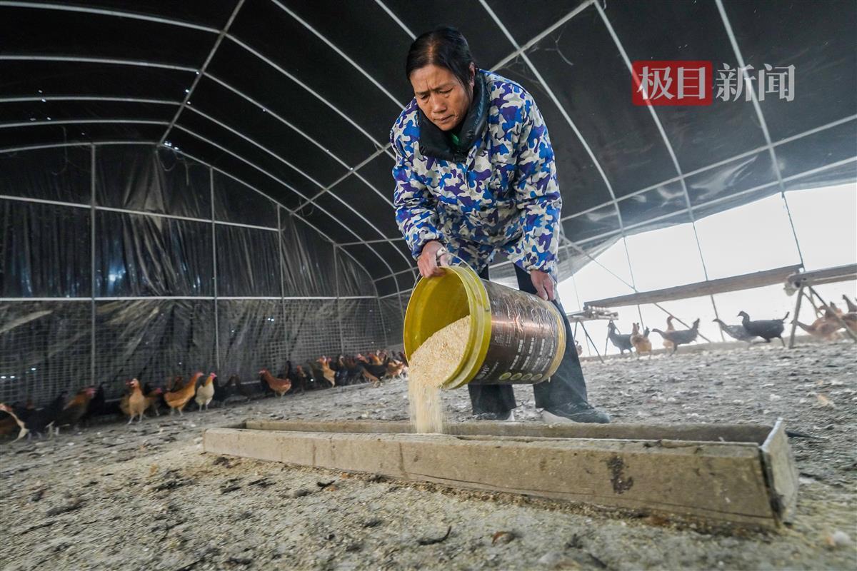 农民种植致富项目_农民工种植致富的故事_致富种植农民工故事简短