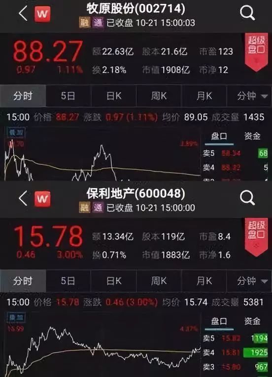 2021年养母猪赚钱吗_专业养殖母猪_母猪养殖致富排名