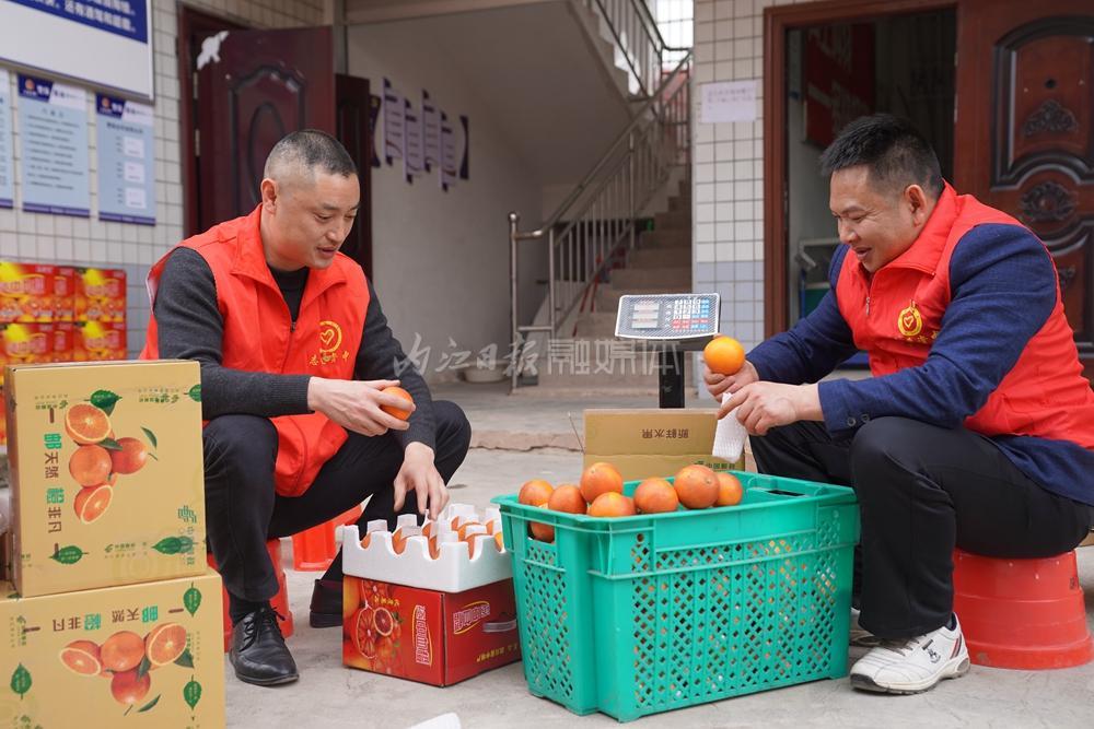 致富养殖土鸭怎么样_致富养殖土鸭视频_土鸭养殖致富