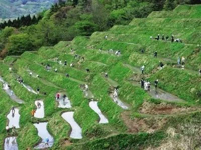 甲鱼养殖肥水技术_甲鱼养殖怎么肥水_养殖甲鱼肥水技术视频教程