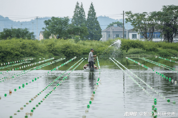 水产养殖效益_养殖水产致富经_水产养殖创业