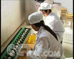 散养鸭子利润怎么样_视频养殖散养鸭技术教程_散养鸭养殖技术视频