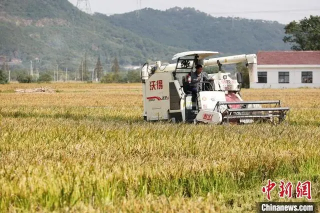 致富立体养殖泥鳅技术视频教程_养殖泥鳅视频全过程_致富经泥鳅立体养殖技术