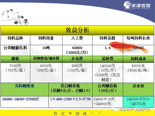 泥鳅养殖技术问答_泥鳅养殖技术与养殖方法_泥鳅的泥鳅养殖技术