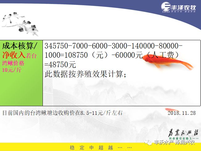 泥鳅养殖技术与养殖方法_泥鳅的泥鳅养殖技术_泥鳅养殖技术问答