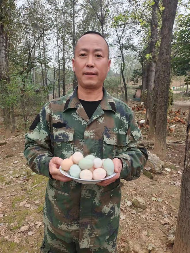 河源养鸡场_广东河源养鸡基地_河源土鸡养殖致富