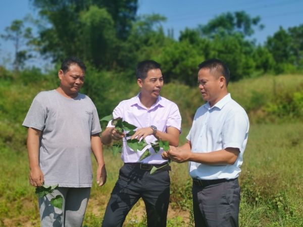 横县峦城镇好青年李济俊：致富不忘桑梓情  一片丹心报乡恩