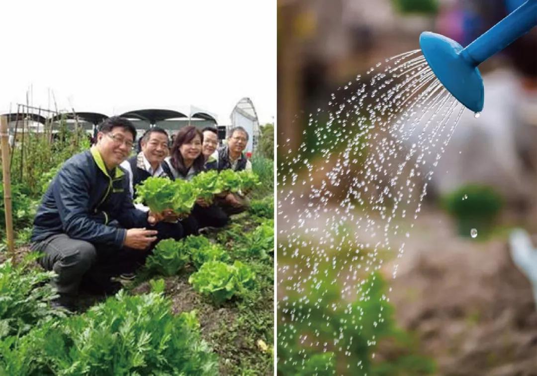 致富种植农业农村部门职责_致富经农业种植_农业农村部种植致富经