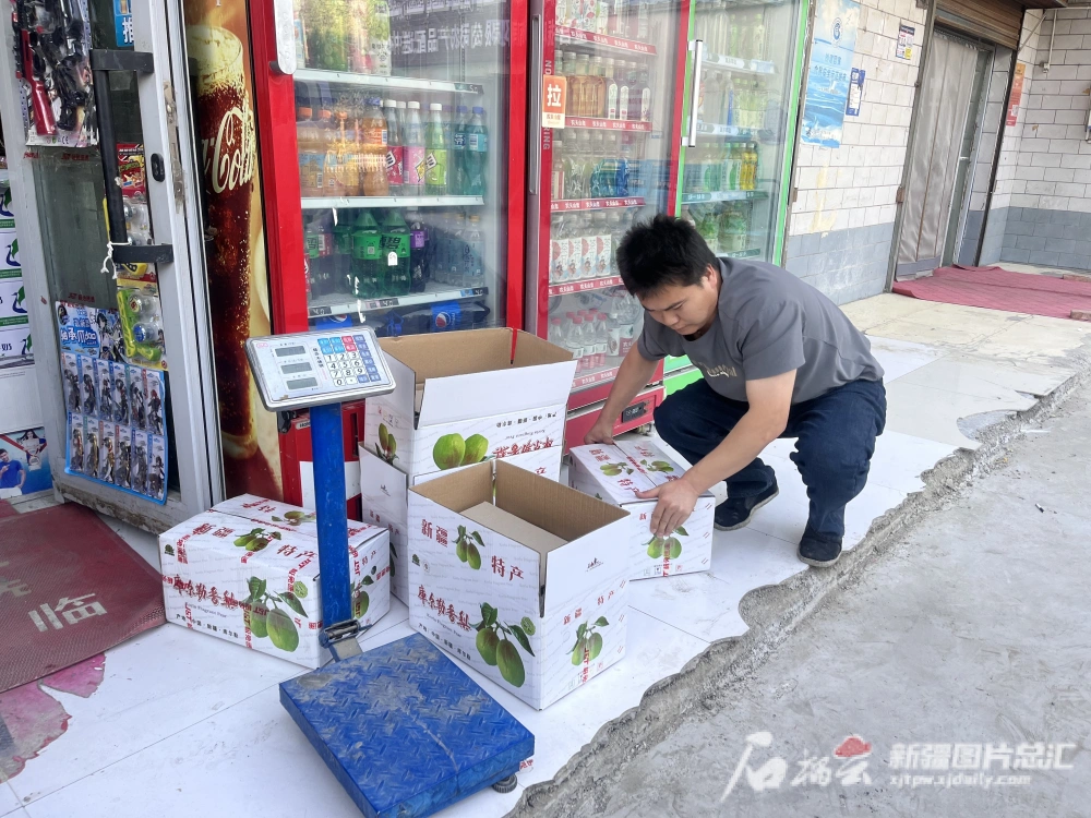 莴笋种植效益_种植莴笋致富_致富种植莴笋怎么样