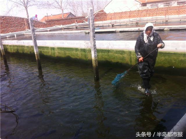 致富特种怪鱼网友视频_致富经特种养殖_特种怪鱼网友致富经