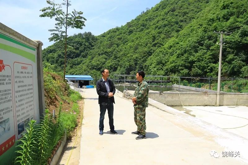 西安金鳟鱼养殖技术_金鳟养殖水温_金鳟鱼苗批发