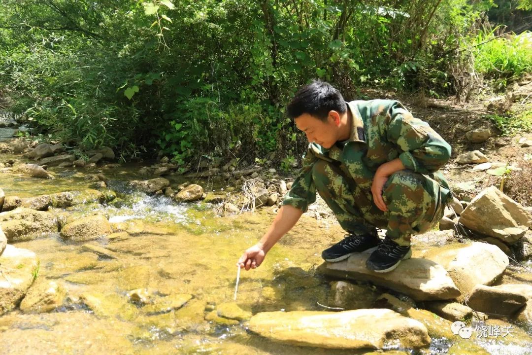 金鳟鱼苗批发_西安金鳟鱼养殖技术_金鳟养殖水温