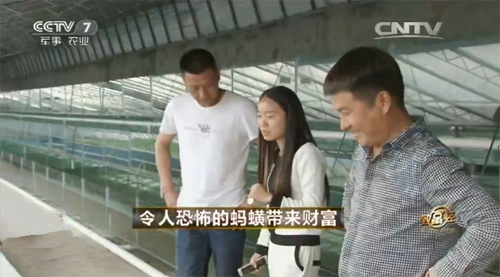 养殖水蛭前景如何_养殖水蛭技术视频_水蛭养殖技术价格