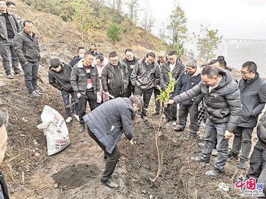 致富种植大丽花视频_种植大丽花致富_致富种植大丽花怎么样