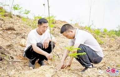 致富种植大丽花视频_种植大丽花致富_致富种植大丽花怎么样