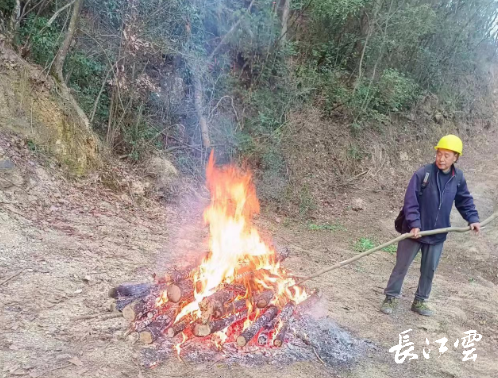 湖北宜昌种植什么农作物_湖北宜昌适合种植什么水果_宜昌种植致富