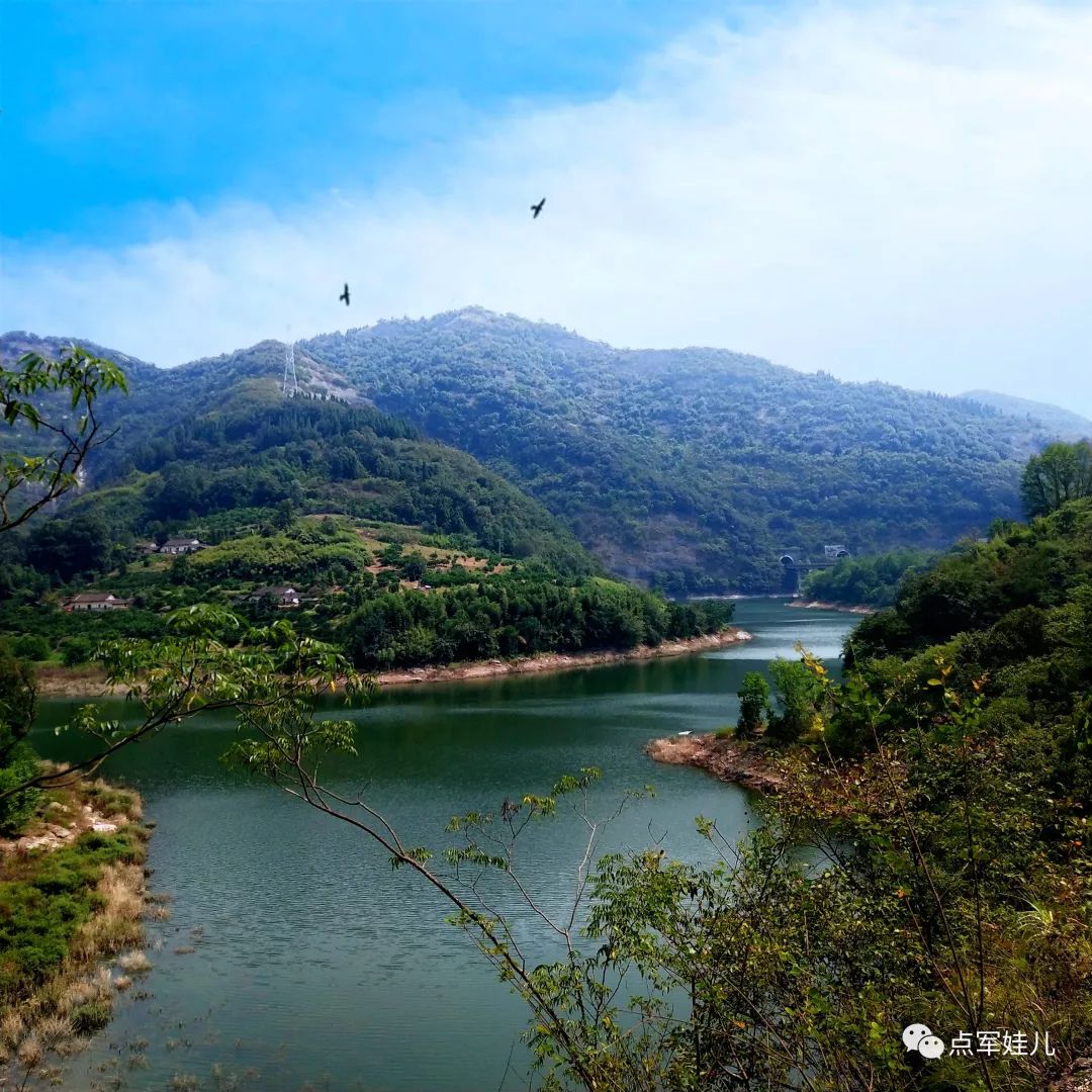 湖北宜昌适合种植什么水果_宜昌种植致富_宜昌种植什么