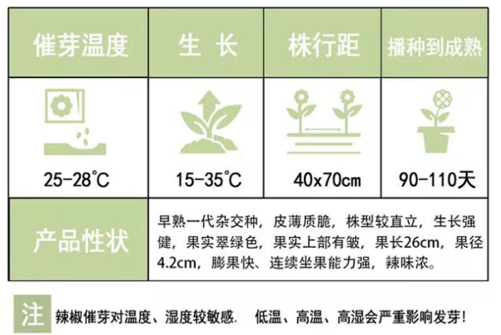 小米辣种苗_小米辣种植技术视频_小小米辣种植技术