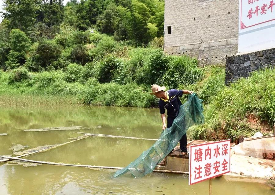 致富经小龙虾养殖_致富龙虾养殖方法_致富养殖龙虾