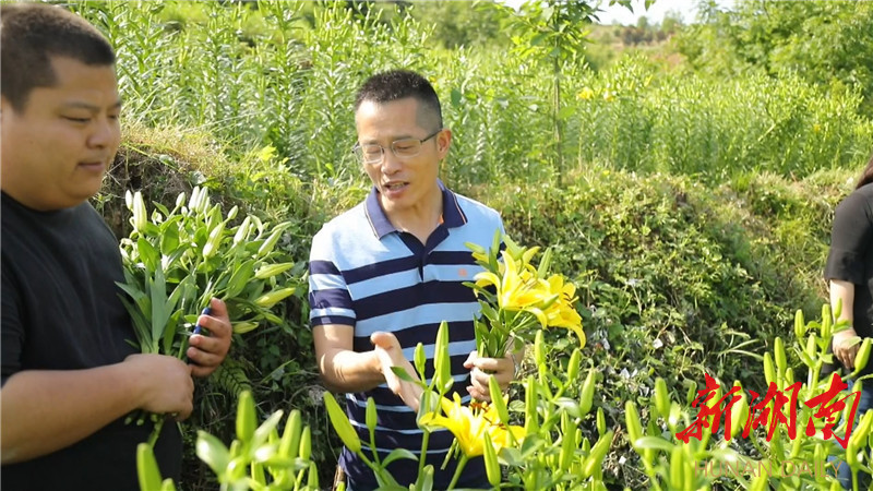 种植经济带动脱贫致富_脱贫攻坚农业种植方面_脱贫致富产业