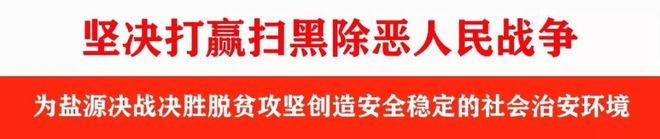 视频致富养殖白鹅怎么做_视频致富养殖白鹅是真的吗_白鹅养殖致富视频