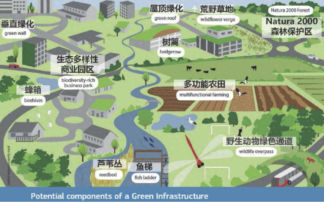 绿美广州 | 绿色基础设施规划建设之一：源起、内涵与经验借鉴