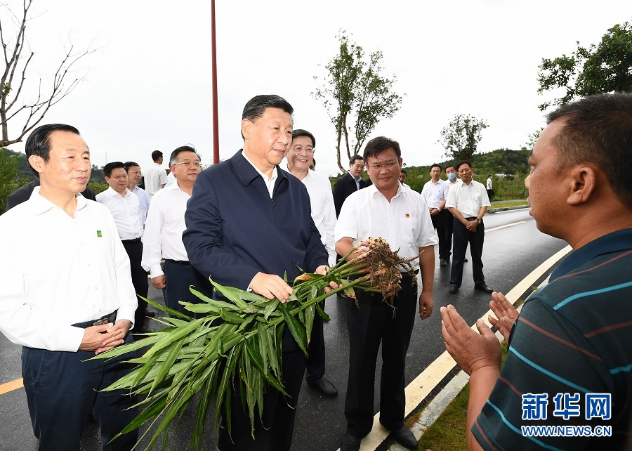 中央七台致富经养养蜂_中央七台致富经养养蜂_中央七台致富经养养蜂