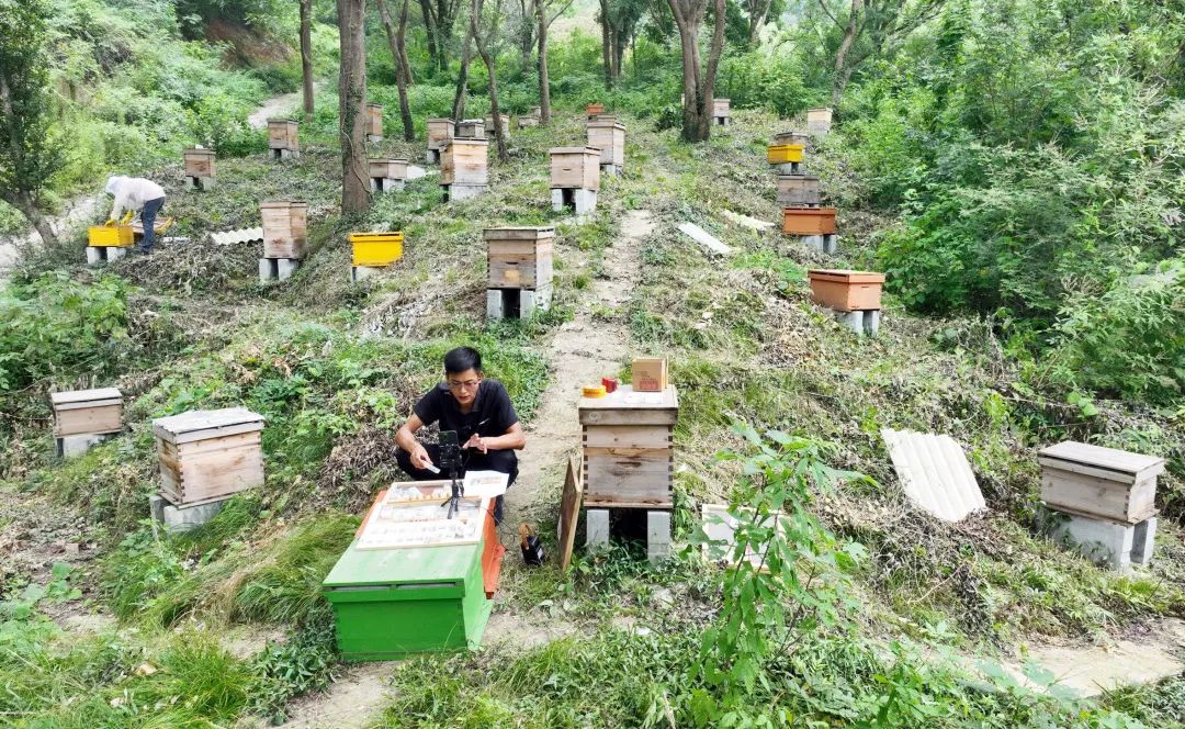 小伙养殖致富小说_致富小伙养殖小说全文阅读_致富养猪场小说