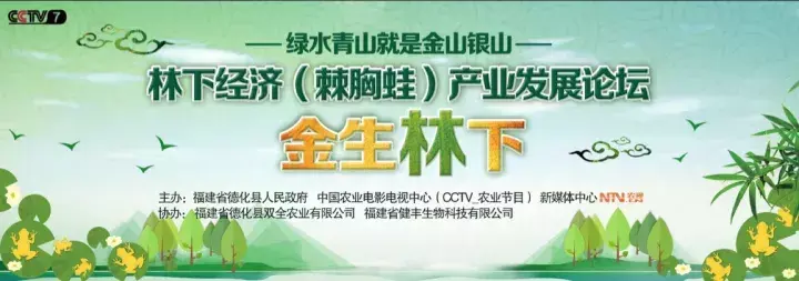 林下生态养殖精准扶贫项目_致富经林下养殖专题报道_林下养殖的发展前景