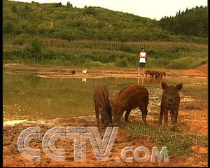 中央七台致富经粉条_中央七台致富经粉条_中央七台致富经粉条