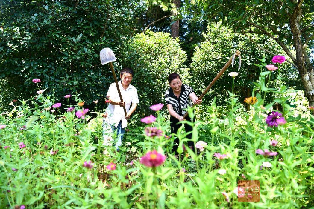 绿了生态 旺了产业 富了百姓——通城岳姑林场发展林下经济劈开致富门