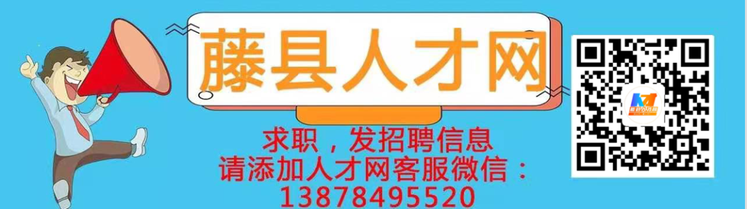 致富小伙养殖小说在线阅读_小伙养殖致富小说_致富经养鸡小伙